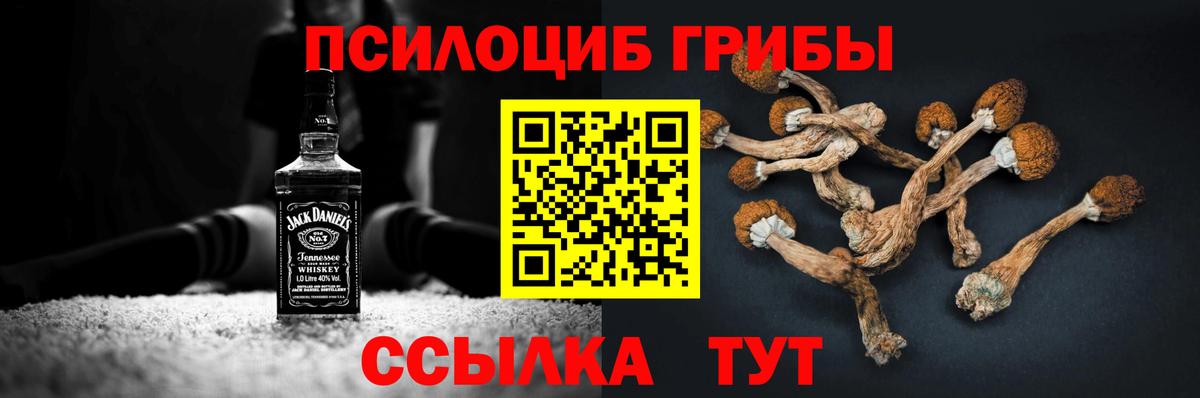 Фролово  Галлюциногенные грибы Magic Shrooms  Вход с VPN  Псилоцибиновые грибы мицелий 
